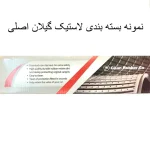 کفپوش خودرو لاستیک گیلان مدل فابریک ساپکو SSH 800 مناسب برای پژو 405 - تصویر 2