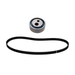کیت تسمه تایم رایکالتون مدل 114 دندانه HNBR مناسب برای پژو 405 XU7 - تصویر 5