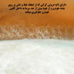 چادر خودرو ساکا مدل Saca Prime مناسب برای کیا اپیروس / اوپیروس - تصویر 7