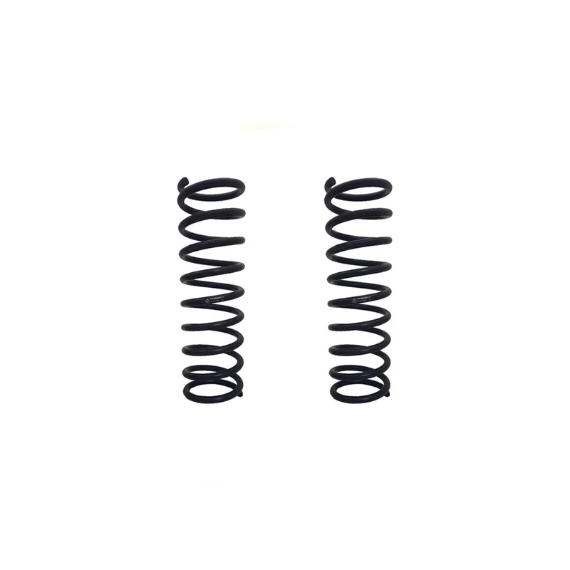 4d96a6c35f1499af1f63b763bf6356997e10a2a0_1770713196.webp فنر لول عقب CNG پاسیکو مدل P1233 مناسب برای تیبا و تیبا 2 بسته دو عددی - تصویر 1