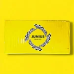 لنت ترمز چرخ عقب جونیوس بریک مدل 2011-2015 مناسب برای کیا اسپورتیج - تصویر 6