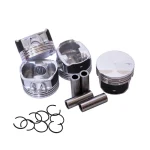 پیستون و گژن پین و خار کاپلان پلاس مدل EF7-0.25 مناسب برای سمند EF7 مجموعه 16 عددی