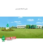 خوشبوکننده خودرو لیتل تریس مدل Trees رایحه Bubble Gum بسته 3 عددی - تصویر 6